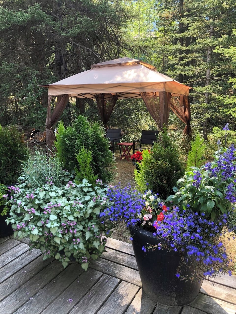 Gazebo off the deck