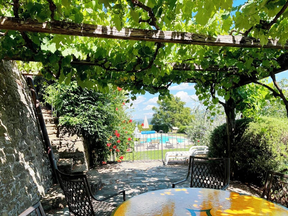 Vine pergola looking towards the pool area.