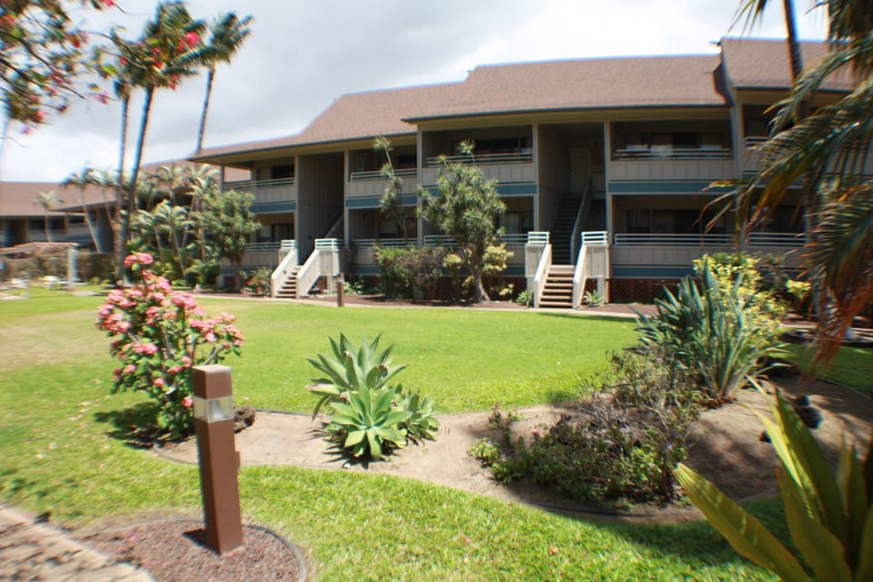 Center of Kihei Bay Vista grounds