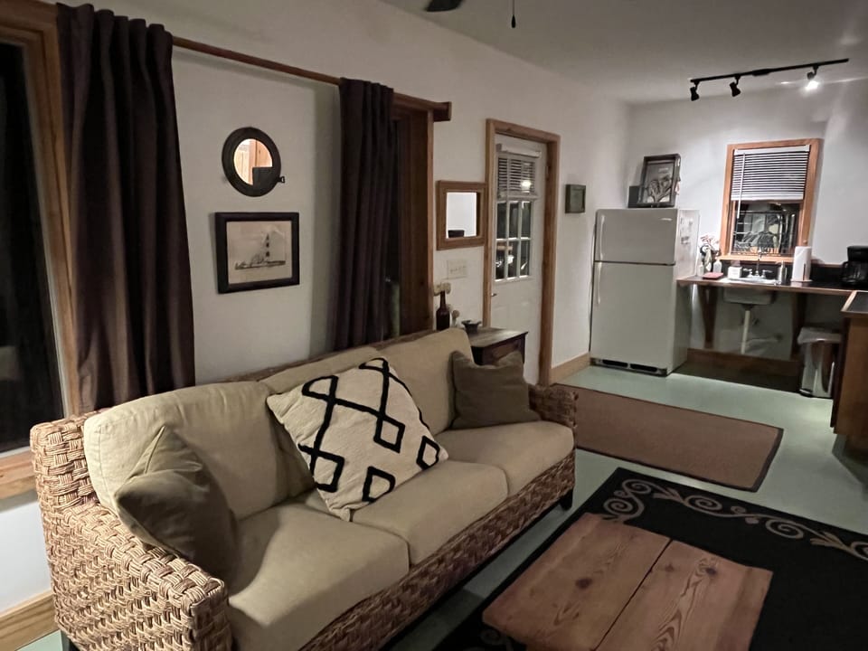 Comfortable, Clean Couch with Down Pillows.