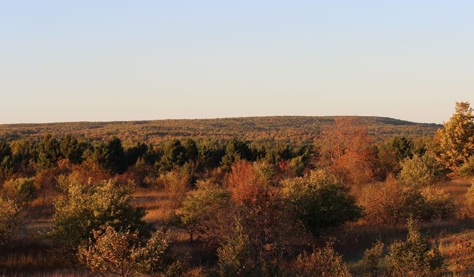 View from Observation Deck