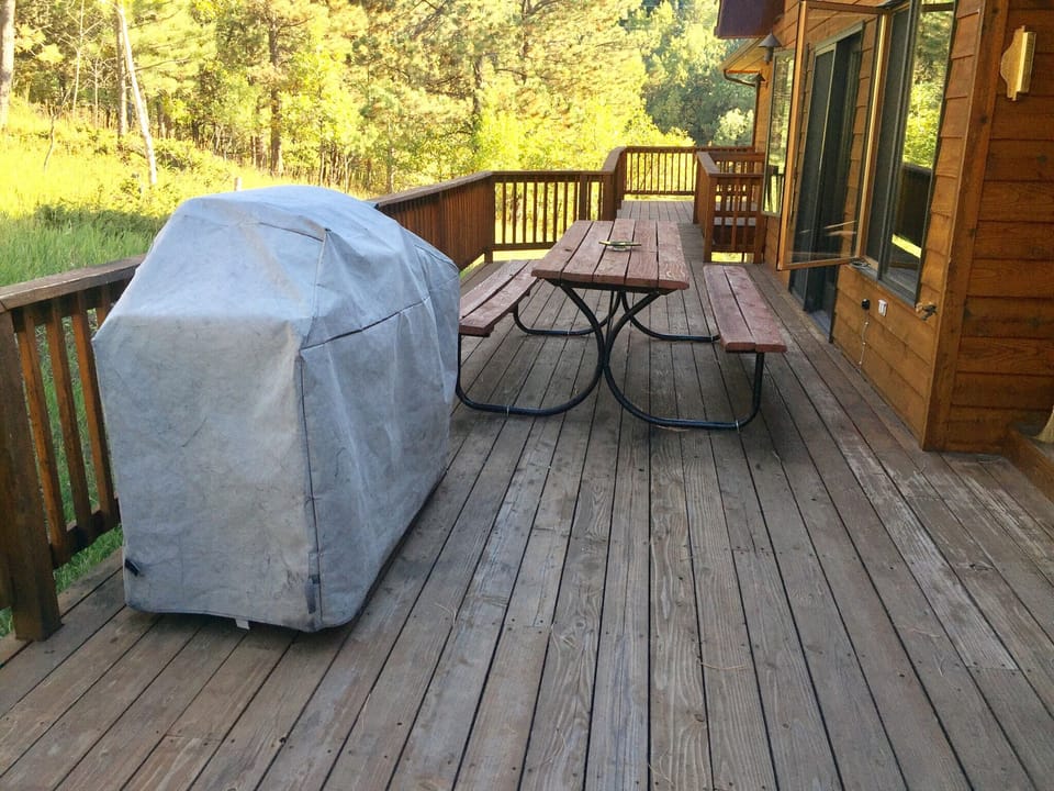 Back patio and BBQ
