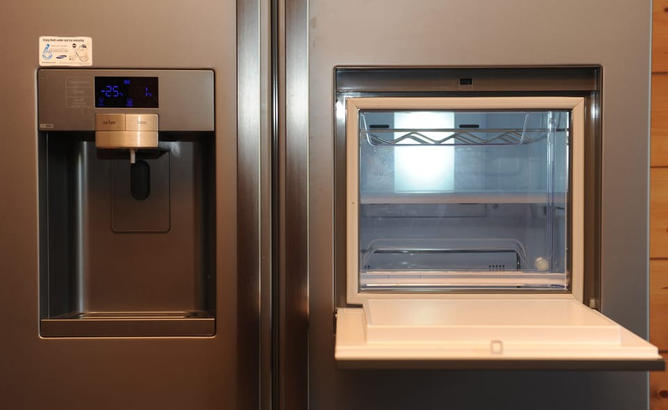 Ice maker and wine store