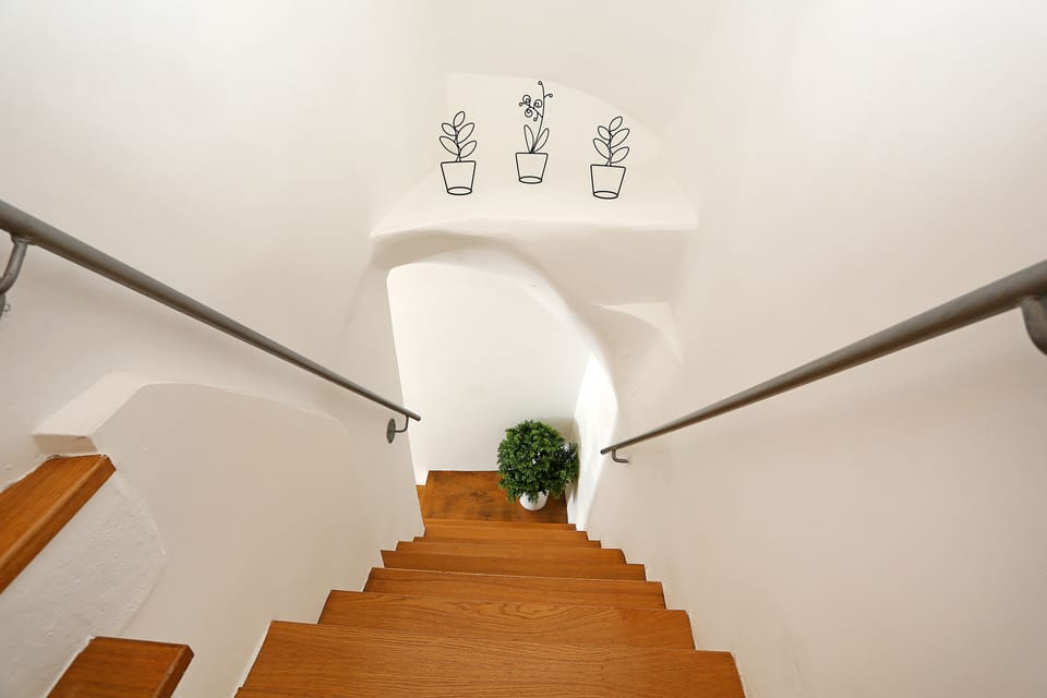 steps down