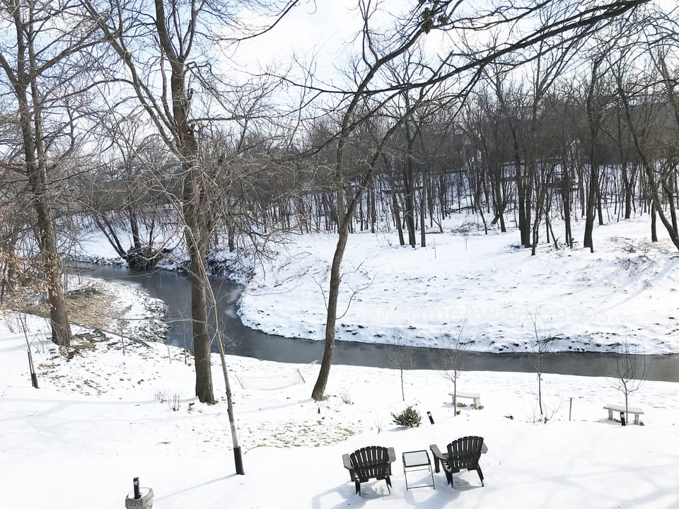 Beautiful & serene WINTER backyard setting to watch the deer by the creek.