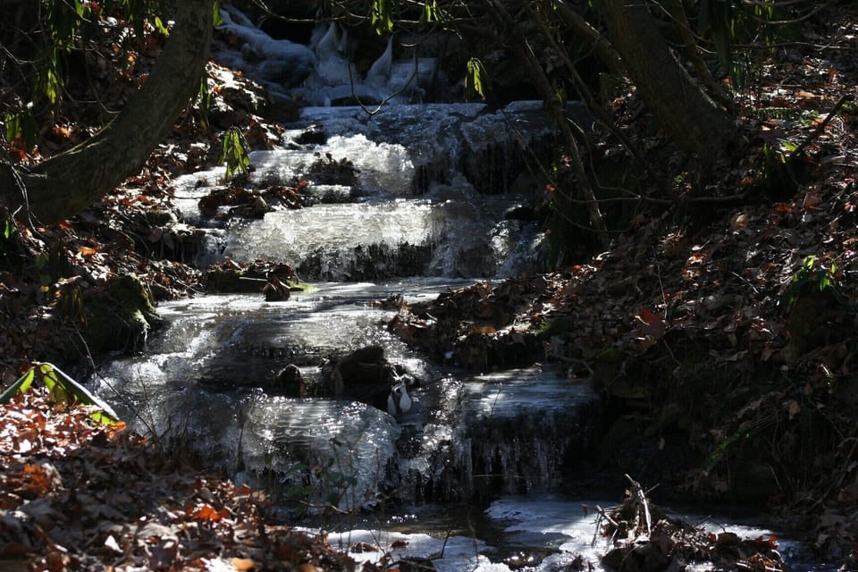 The creek during a rare winter freeze.