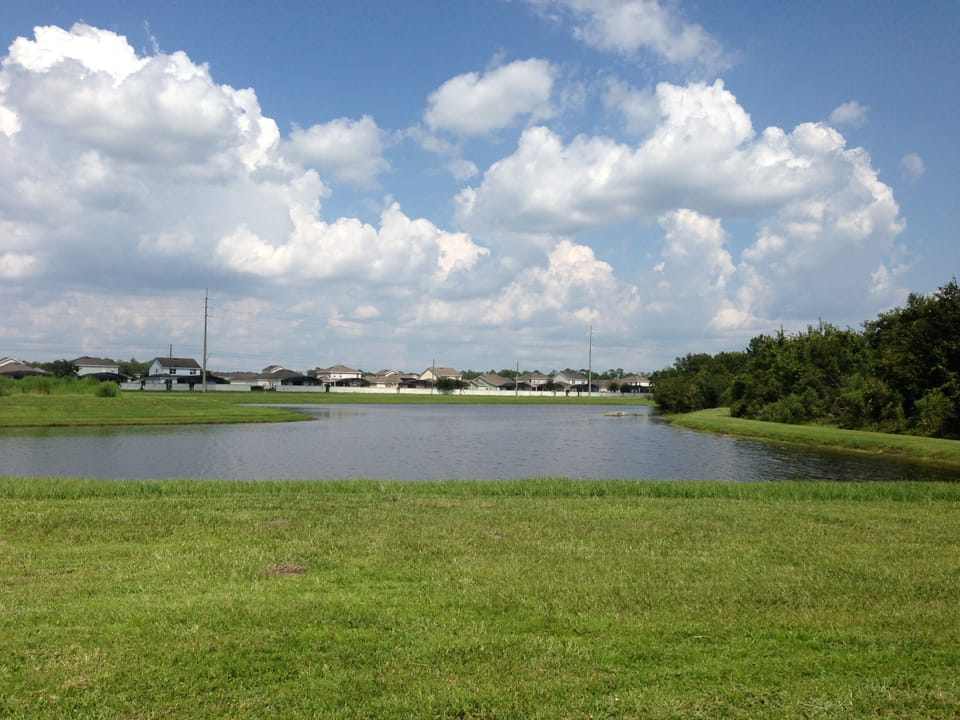 Backyard and edge of huge Florida conservation forest on right!