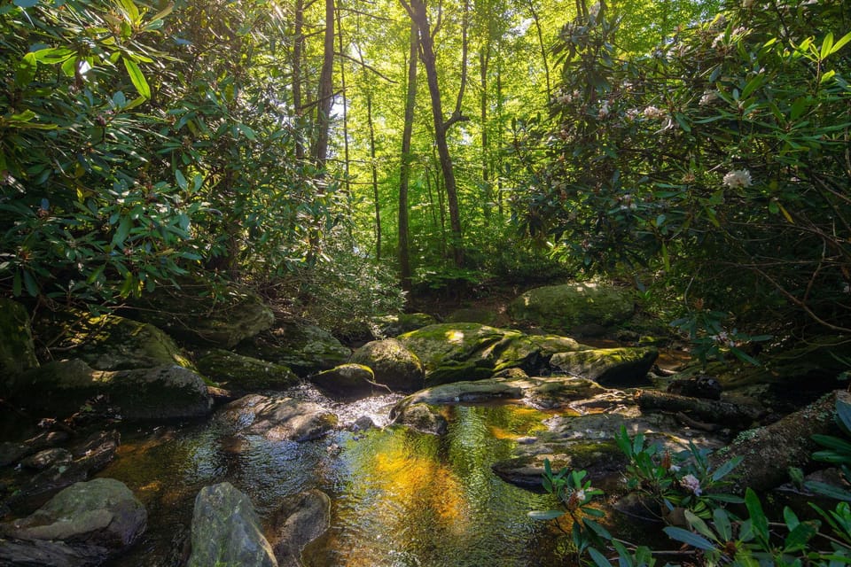 The private creek offers a peaceful spot to relax and explore