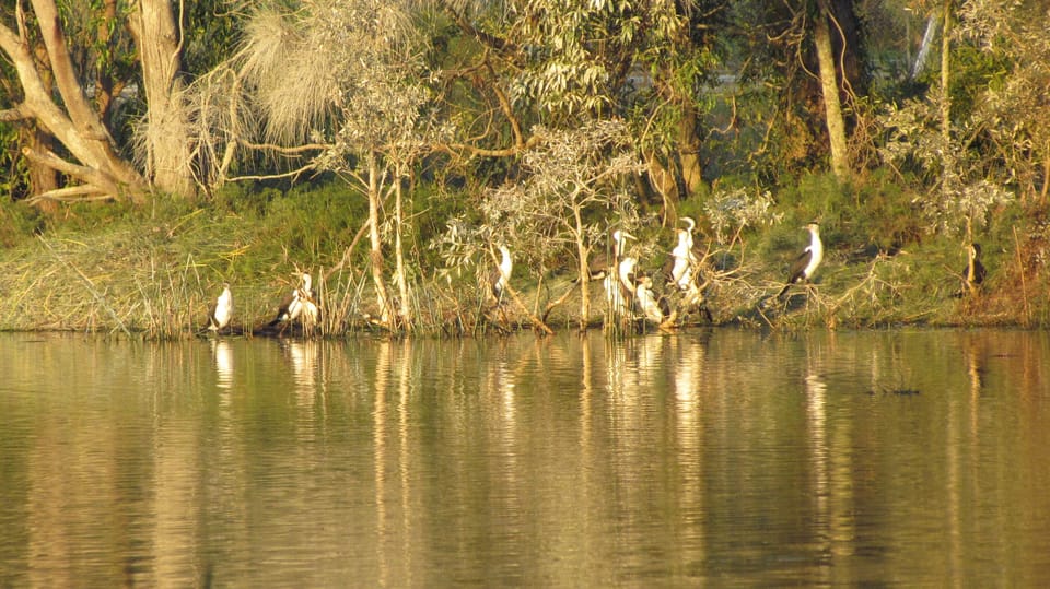 Lake
