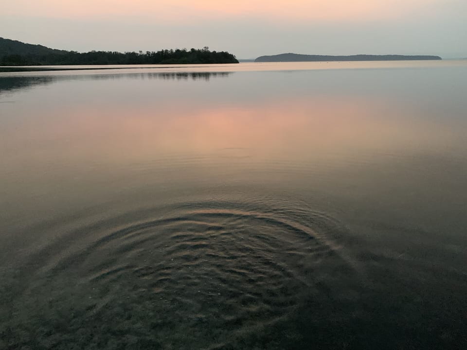 The Lake