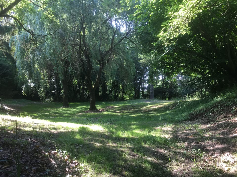 the willows clearing near the nuttery