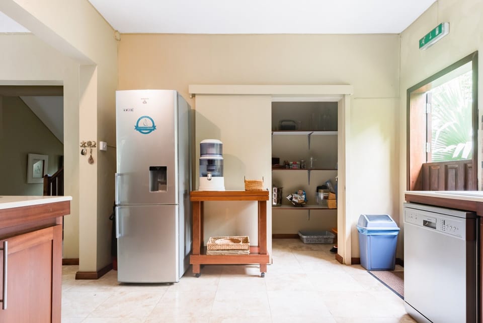 Kitchen fridge and Pantry 