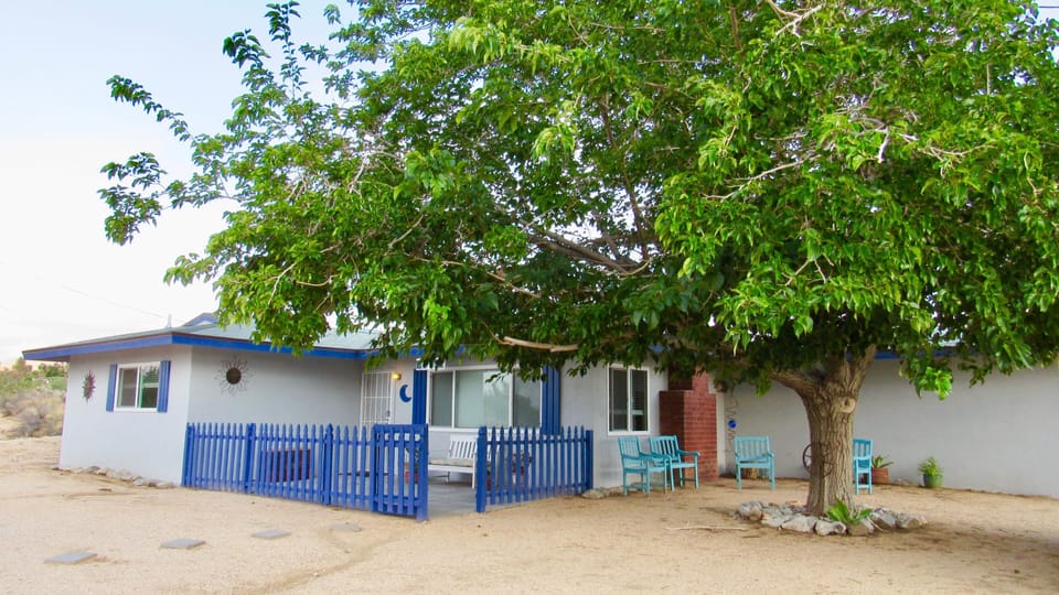 Our Mulberry Tree greats you with her natural shade 
