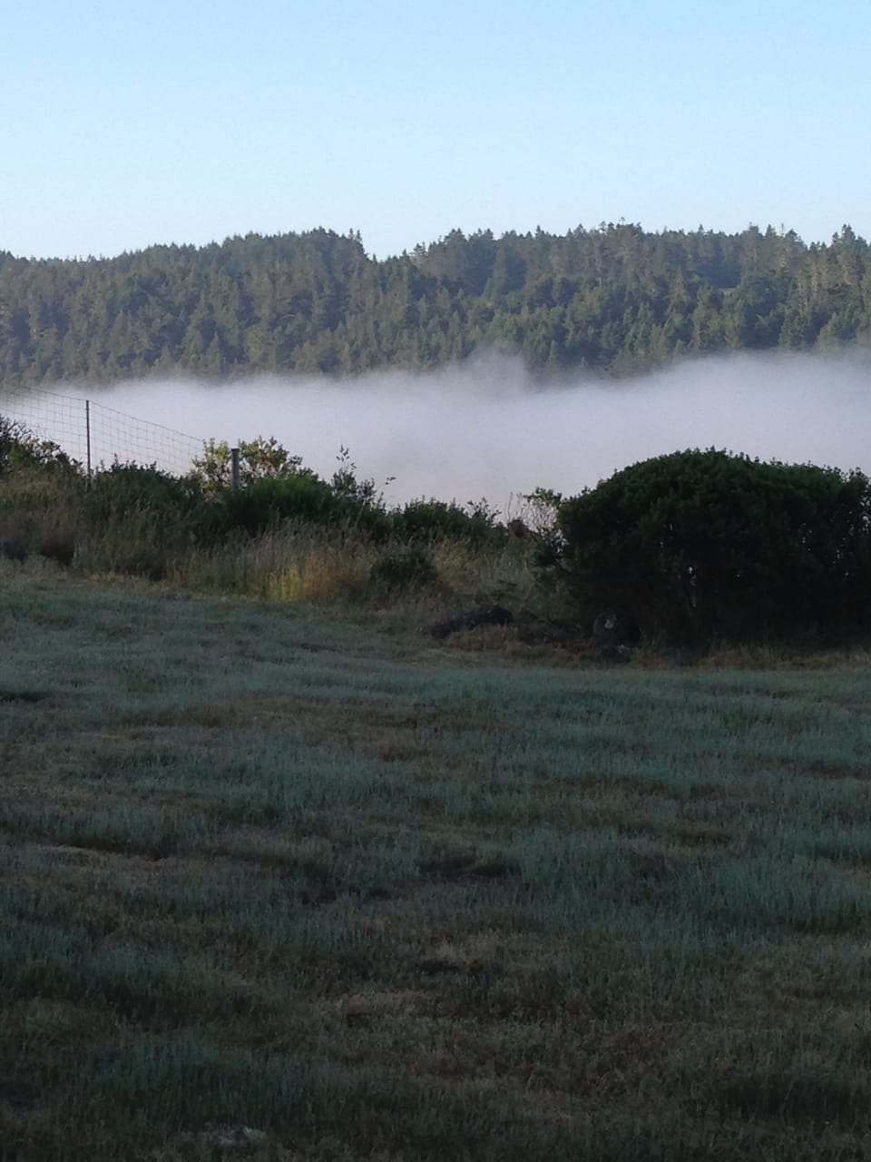 Early Morning Fog Between the Ridges