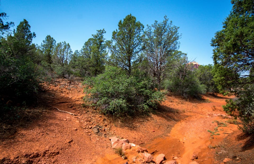 Dozens of miles of hiking & mountain biking nearby