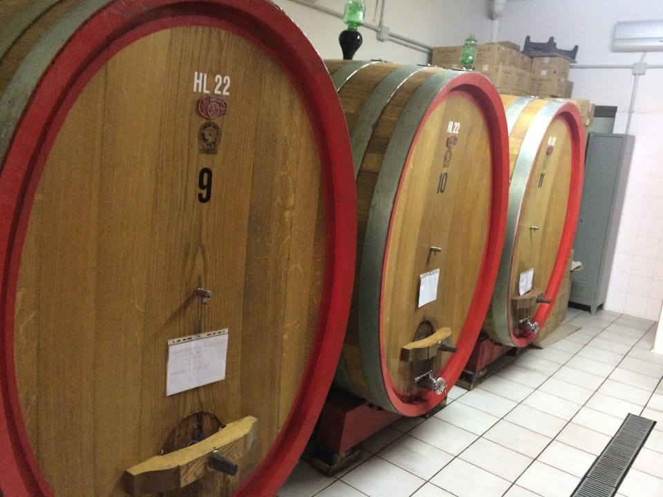 Cantine Aperte winery tour