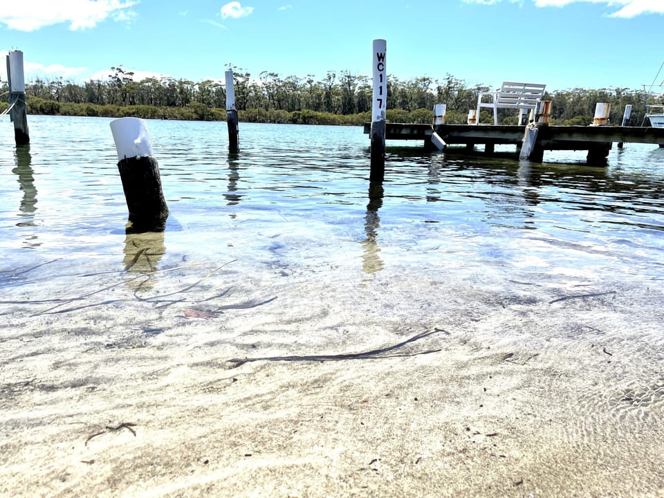 Sandy beach. Great swimming right out the front. 