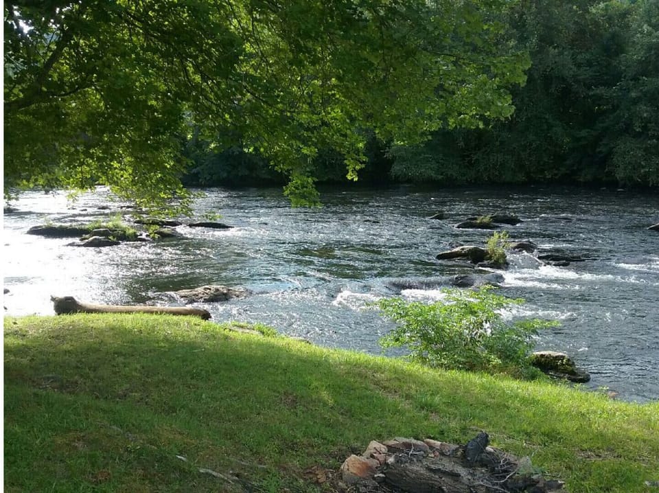 In the backyard by the river!