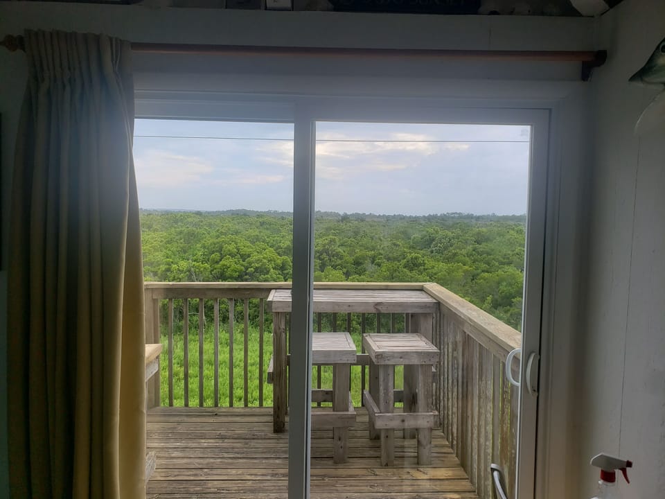 AWESOME VIEW out the back sliding glass door, nothing but nature behind you