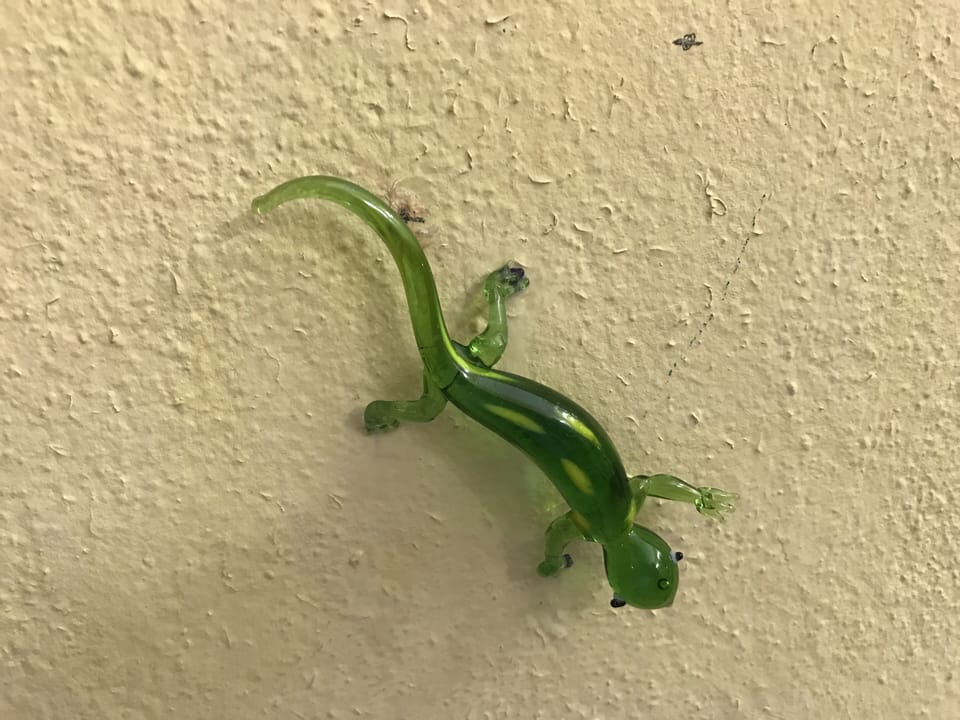 Lower bathroom Gekko