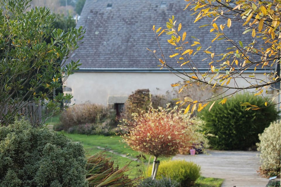 Gouelet-Ker, la jardin derrière  le gîte ou chambre d'hôtes