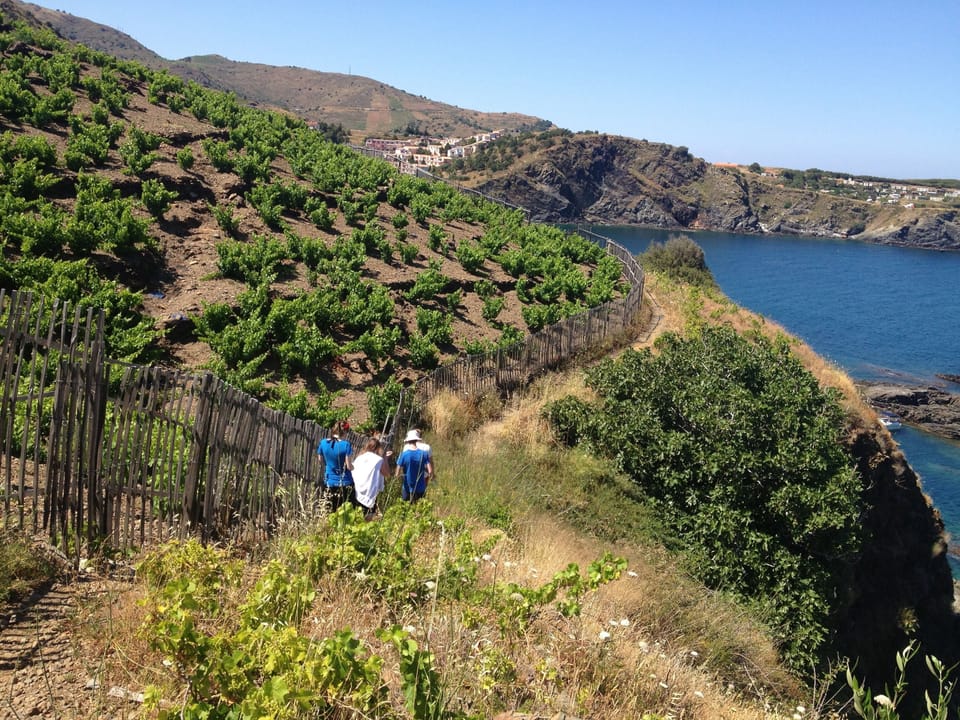 Opportunities of lovely mountain walks