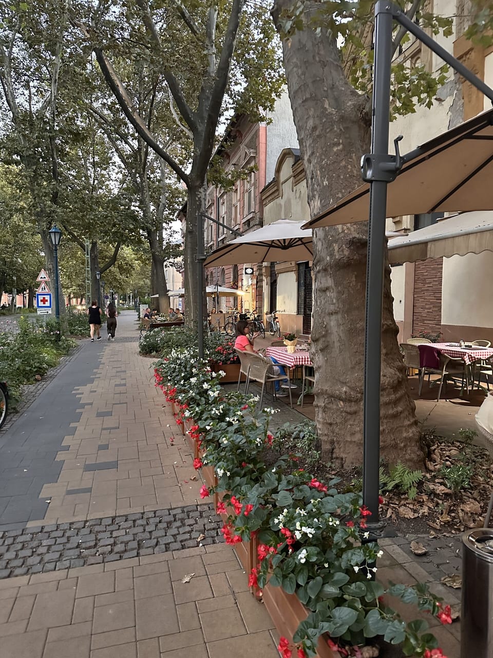 Beautiful Restaurants - Kiskunfelegyhaza 