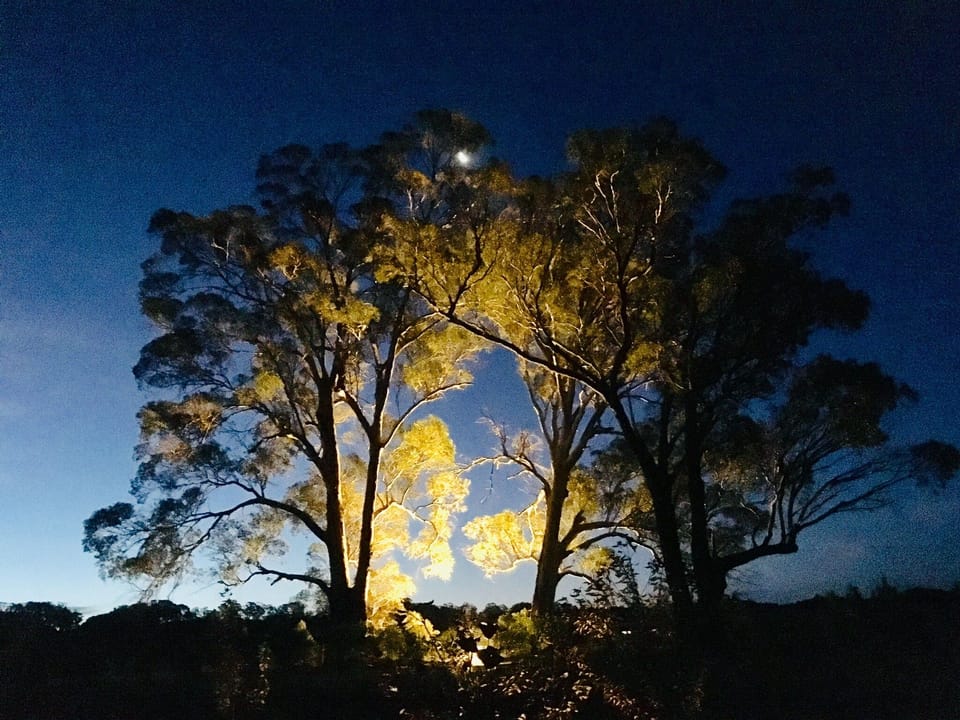 Gums with moon