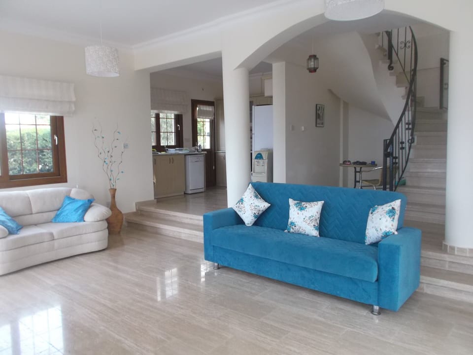 Steps down to lounge area, with spiral stairs
