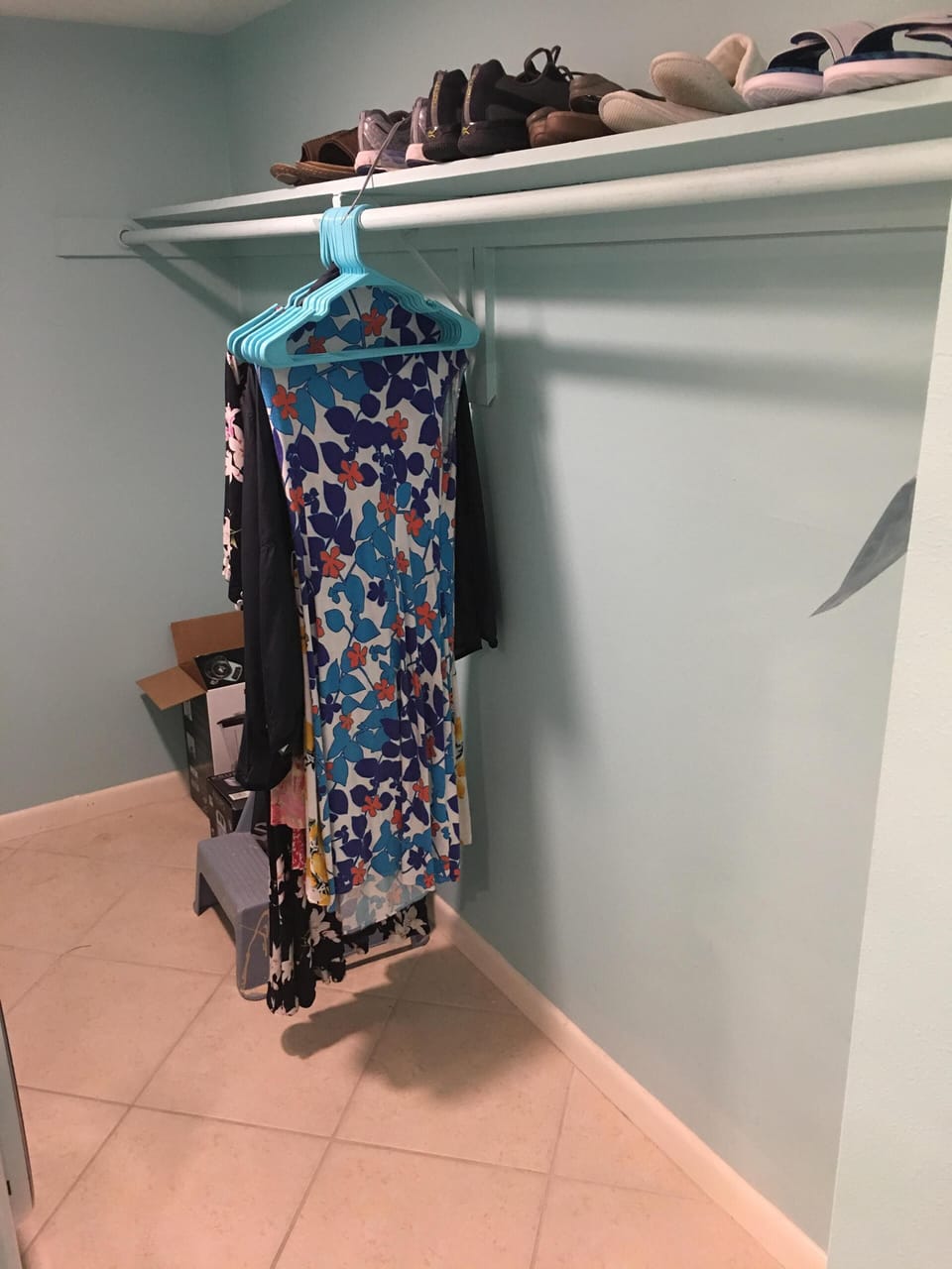 Master Dressing