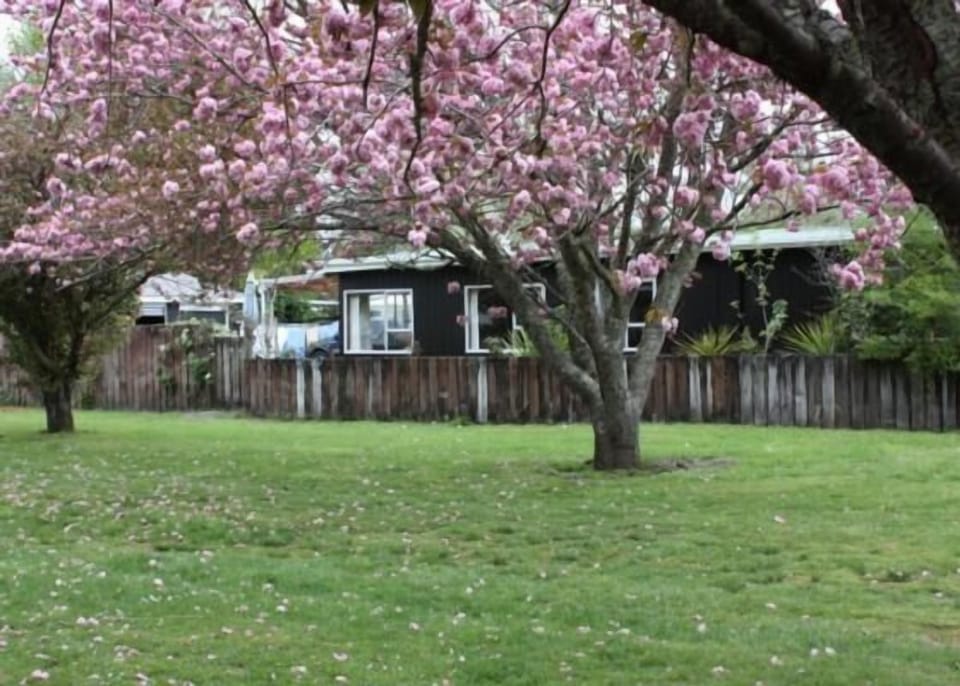 From Cherry Tree Reserve