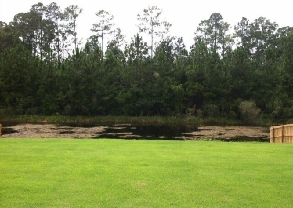 View of Conservation Area from Lanai
