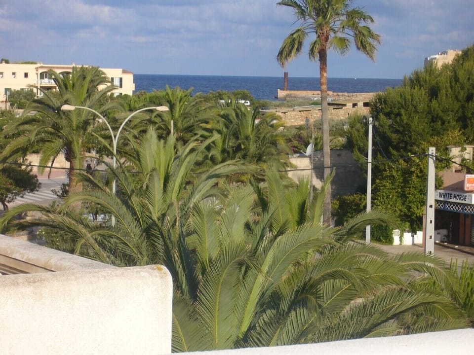 View from the roof terrace