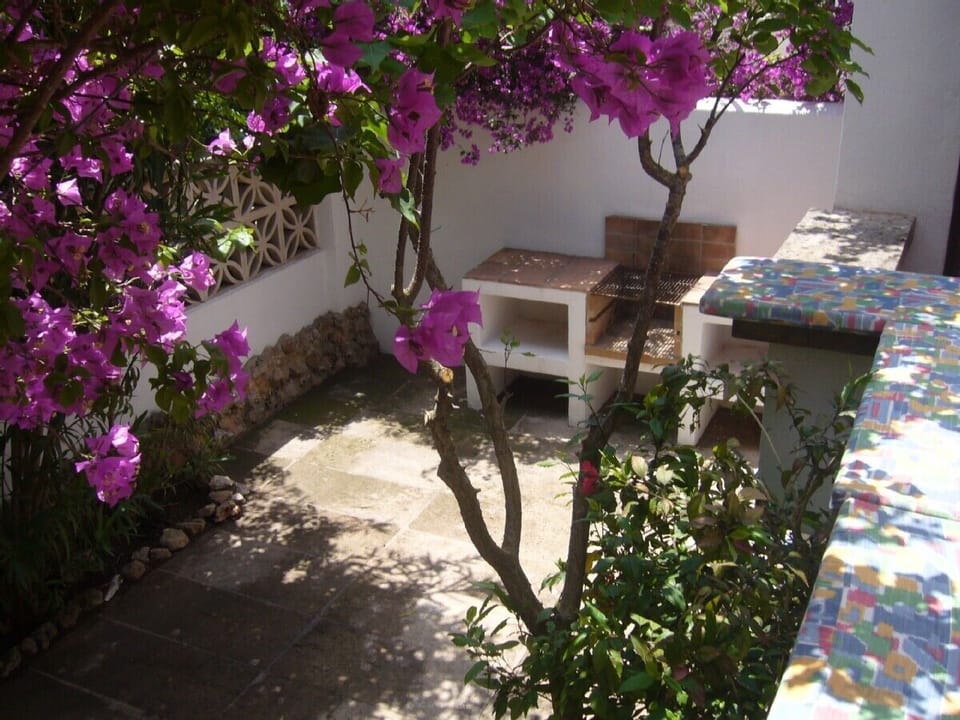 BBQ area and small garden