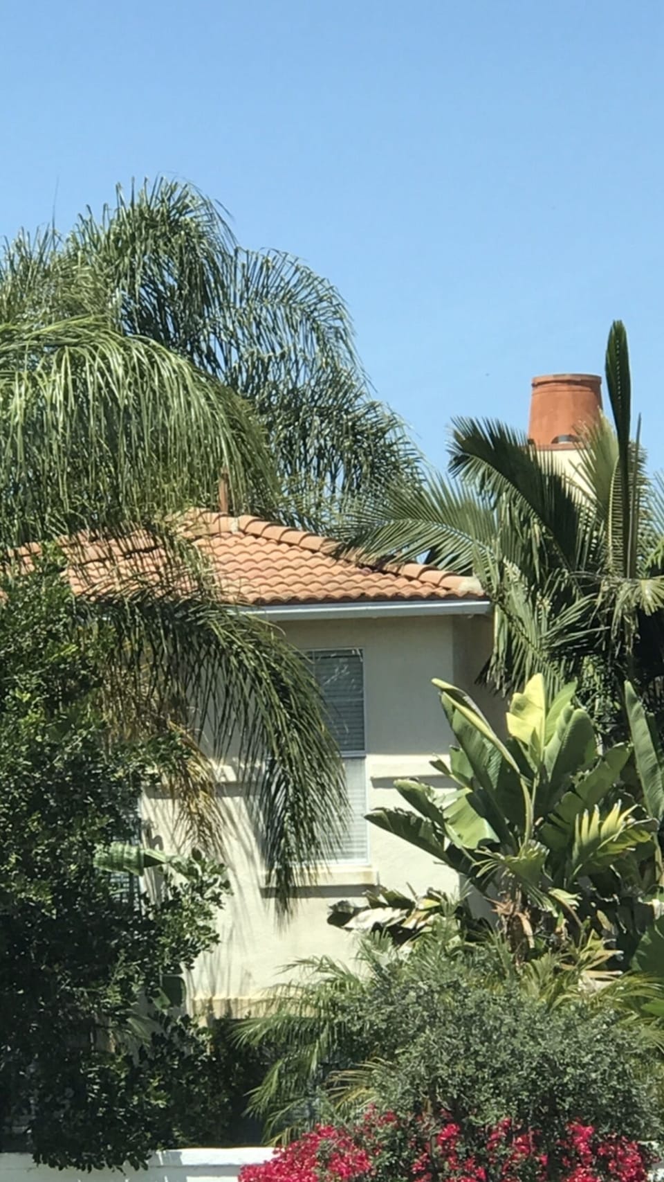 Master Suite rises into tops of palms for added privacy & tranquility...