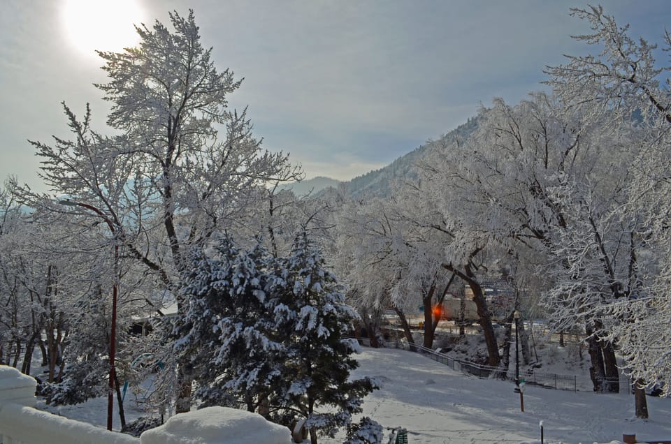 winter view of the park