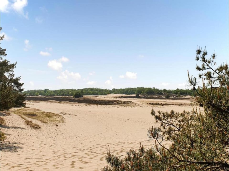 Region [summer] (>5 km)