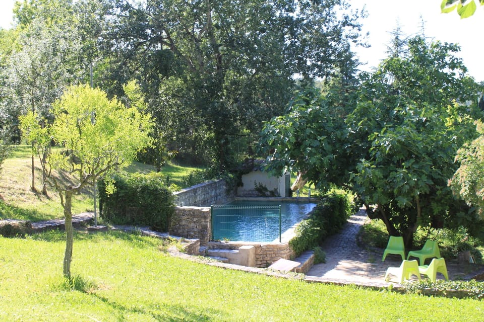 The pool and the garden