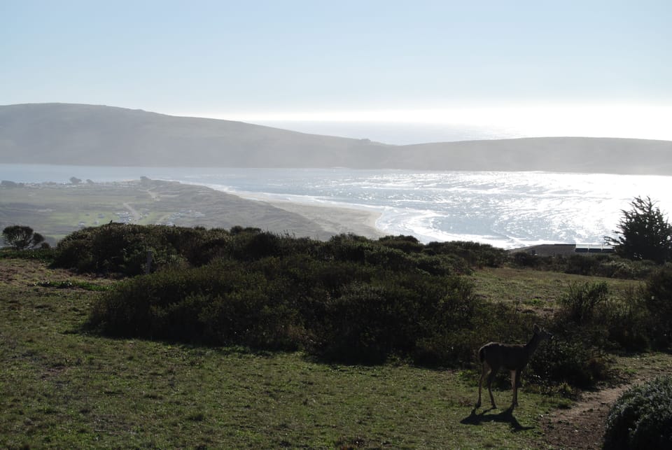 Views of Tomales Bay