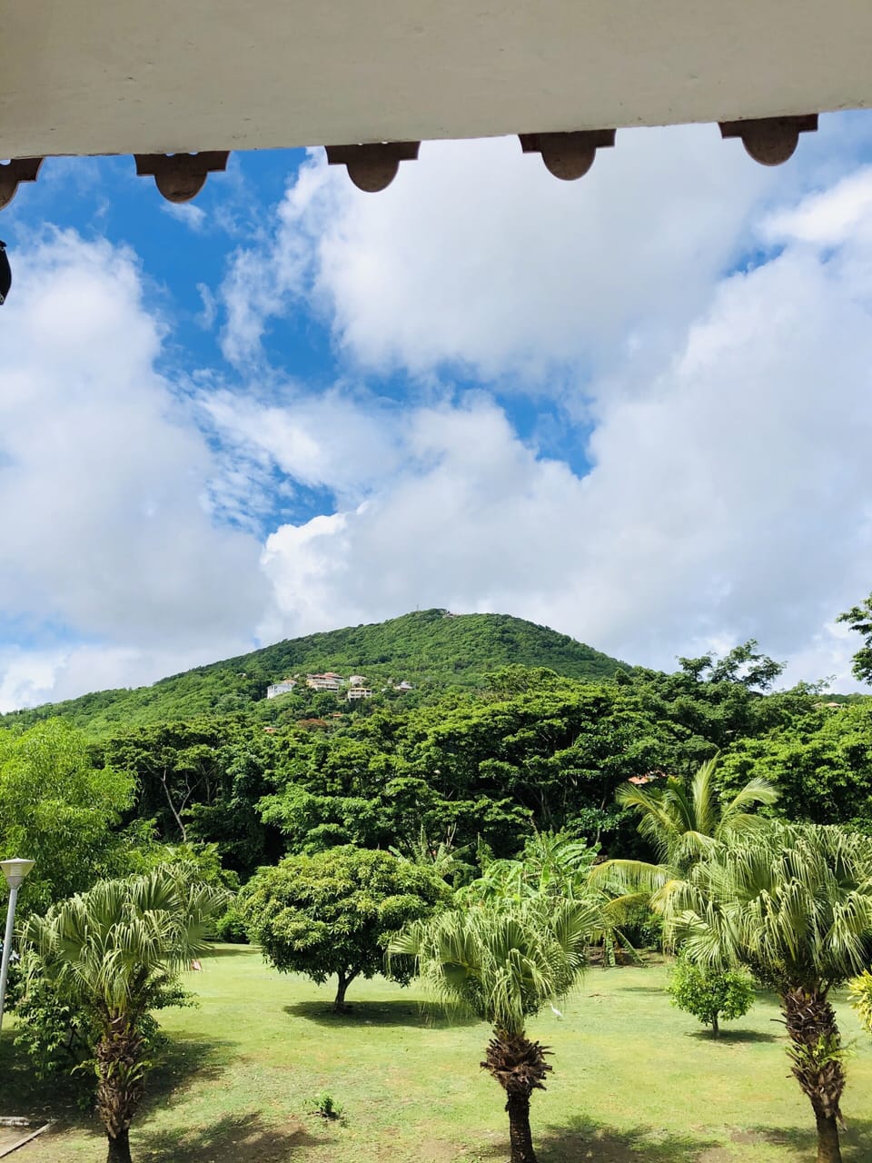 View from property