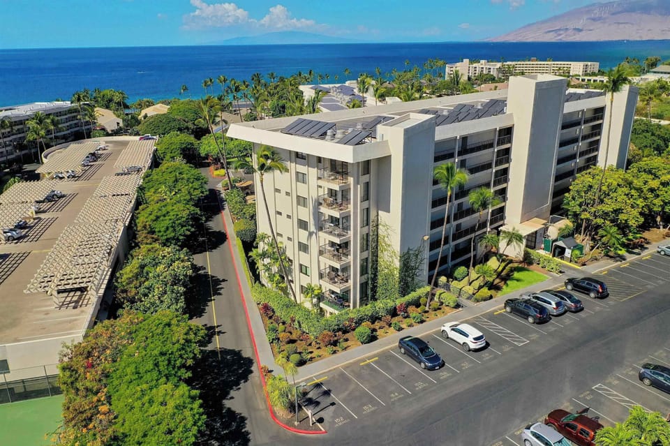 Steps away from Kamaole II.
Perfect for snorkeling, relaxing & tide pooling.