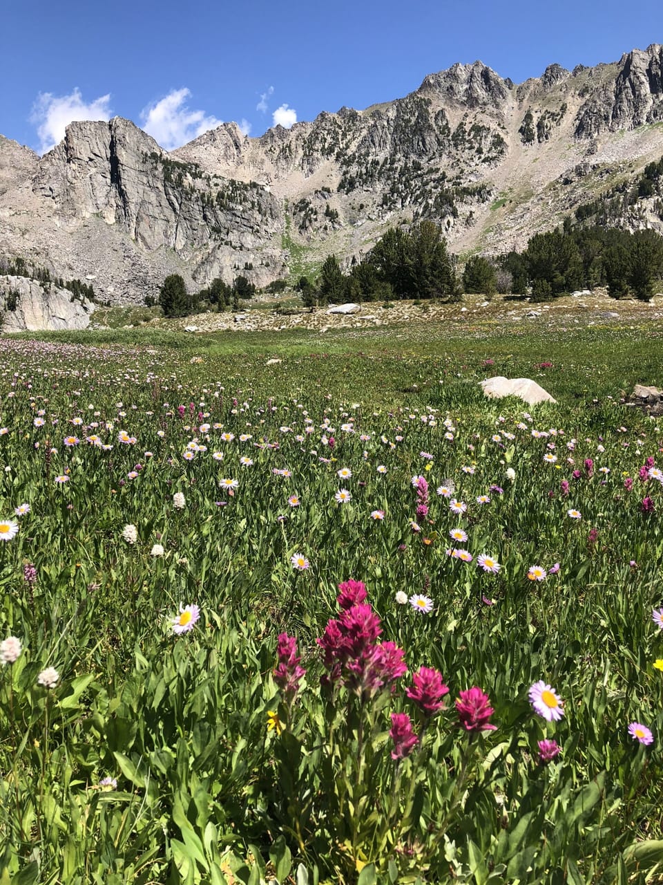 Hiking Beehive Basin