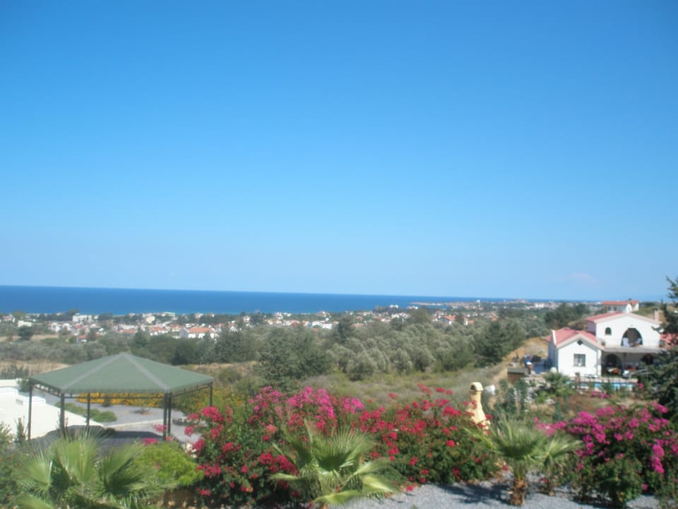 no picture of the main bedroom but this is the view its window
