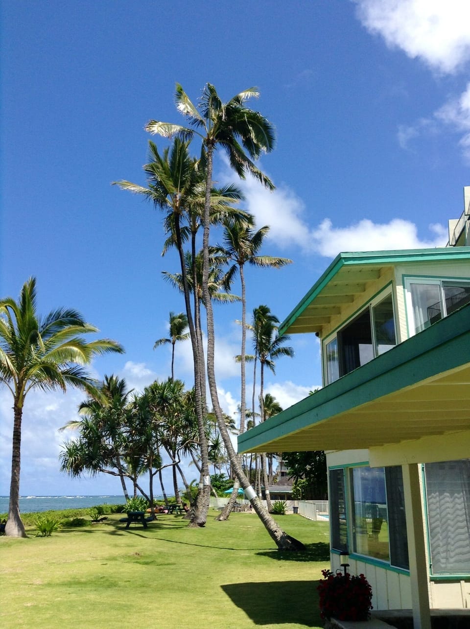 ViewCottages are 4-plex buildings with 2 ground floor units and 2 upstairs units