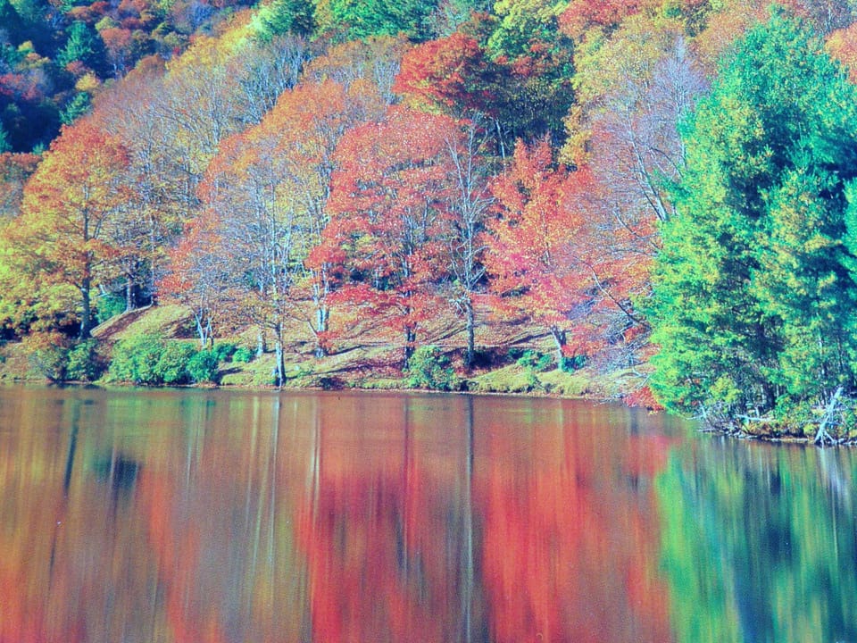 Price Lake on the Parkway