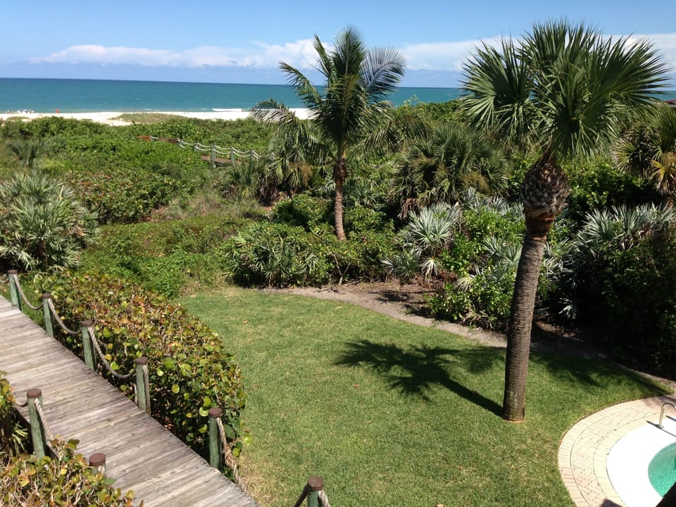 Other side of our acre lot.