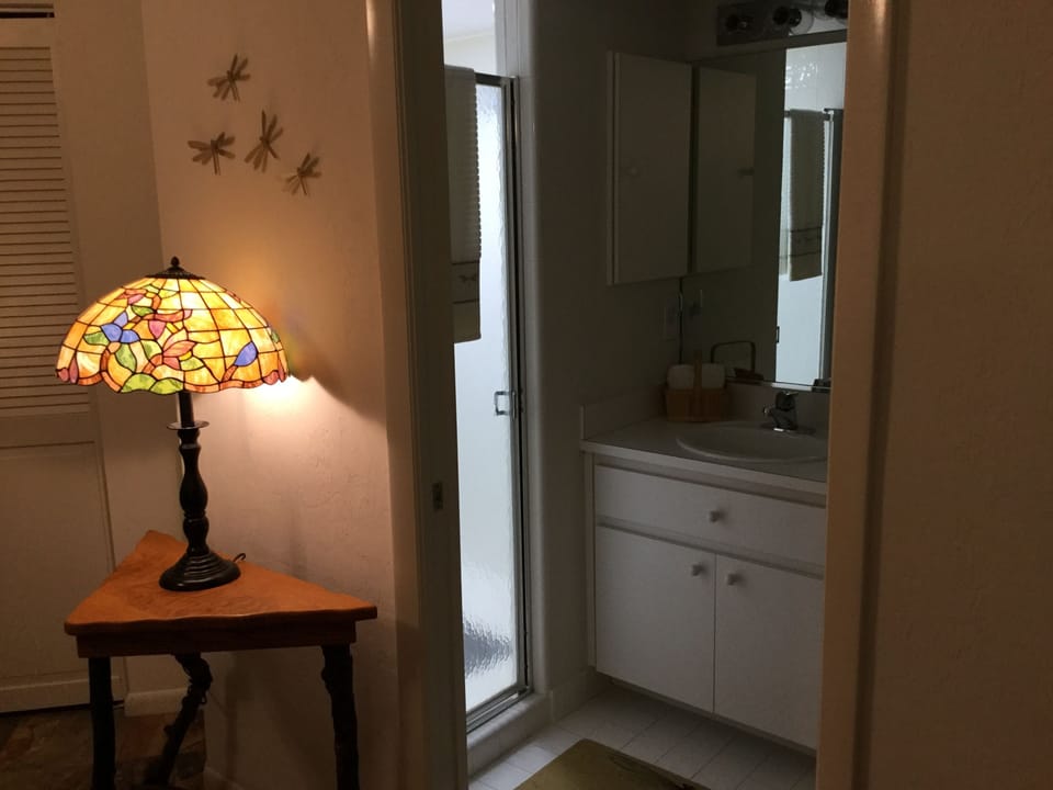 Downstairs second master suite bath with shower.