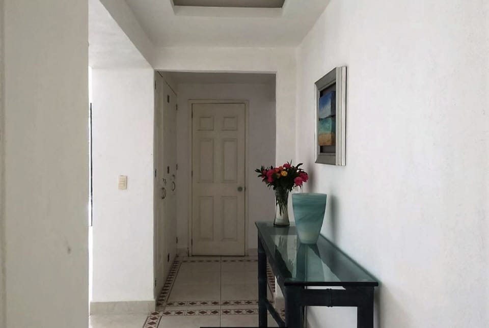 Entrance hall to the pent house