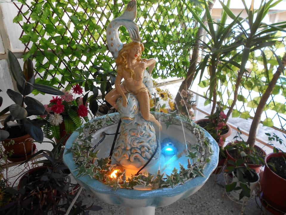 This beautiful fountain makes an outstanding paradise for you.