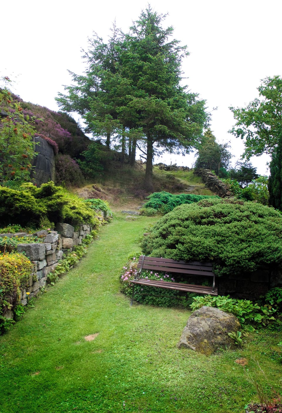 Enjoy our woodland garden. Heather Bank Cottage opens directly into the garden.